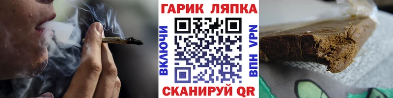 ГАШ Premium  Звенигород 