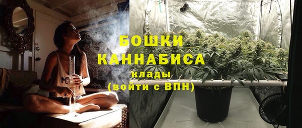 сатива Абинск