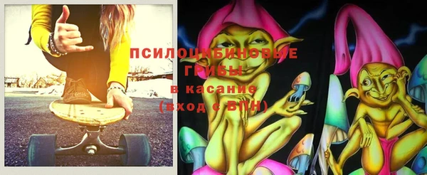 сатива Абинск