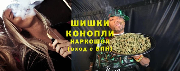 молекула духа Гусиноозёрск