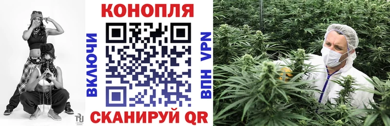 купить наркоту  Звенигород  Каннабис Ganja 